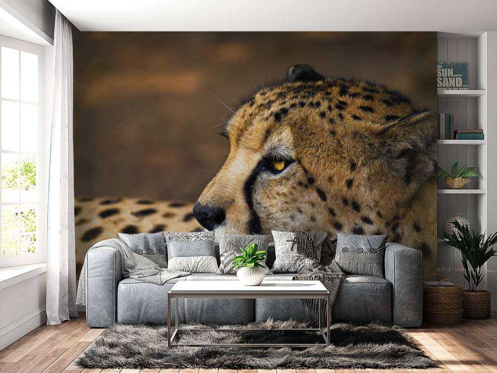 Zij-aanzicht luipaard