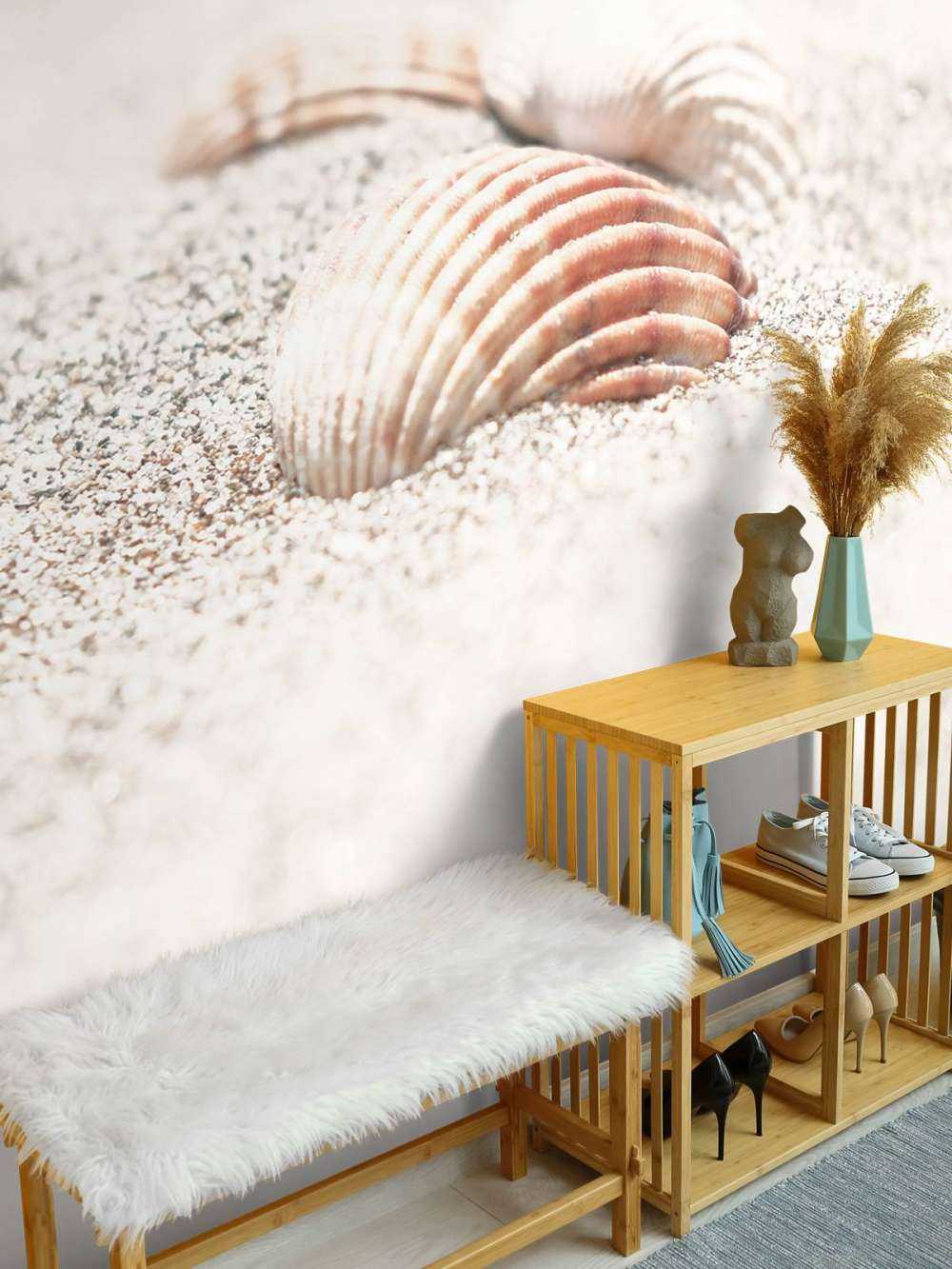 Beach Shells