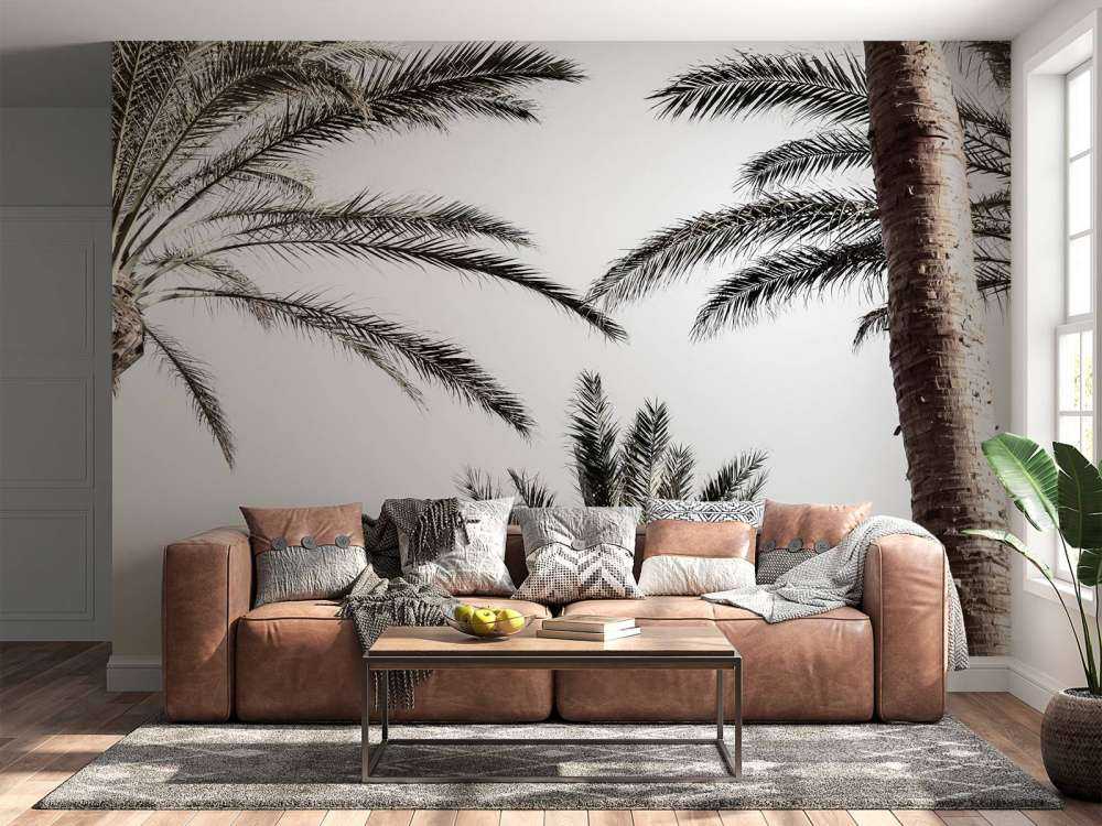 Palmtrees in the sun