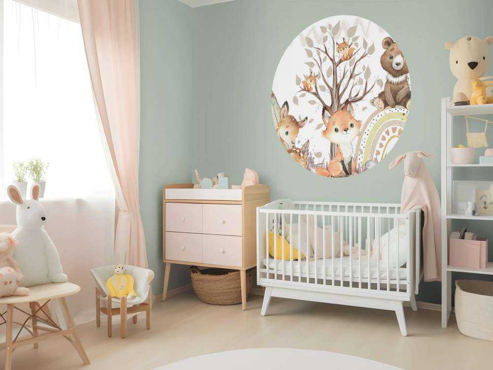 Rainbow forest party