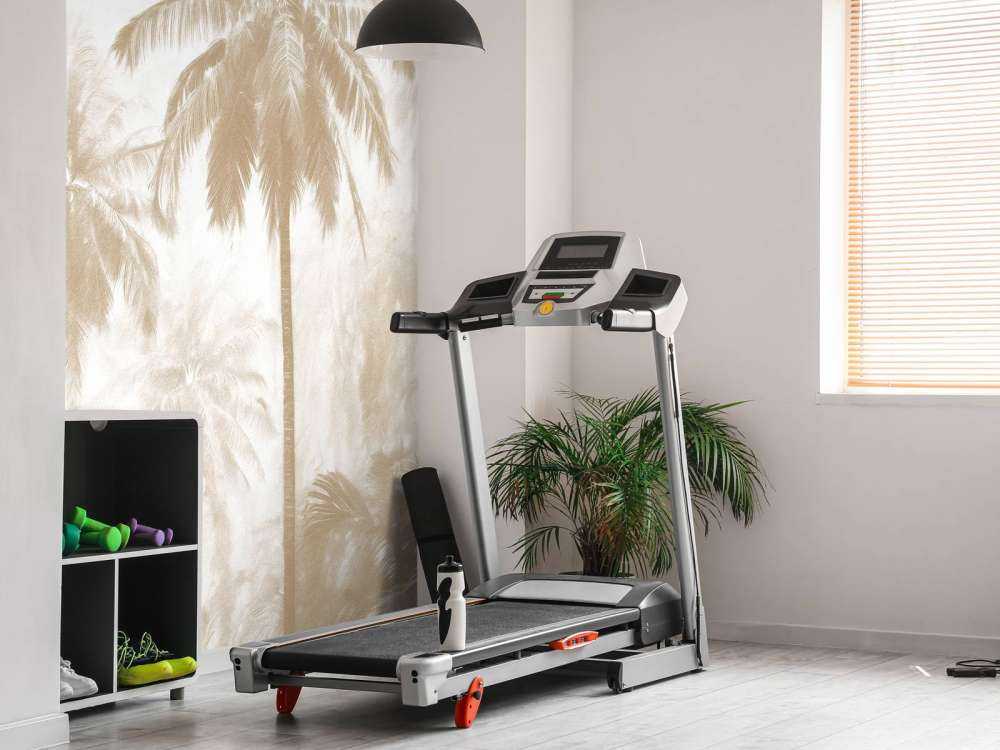 Misty Palm Forest, taupe