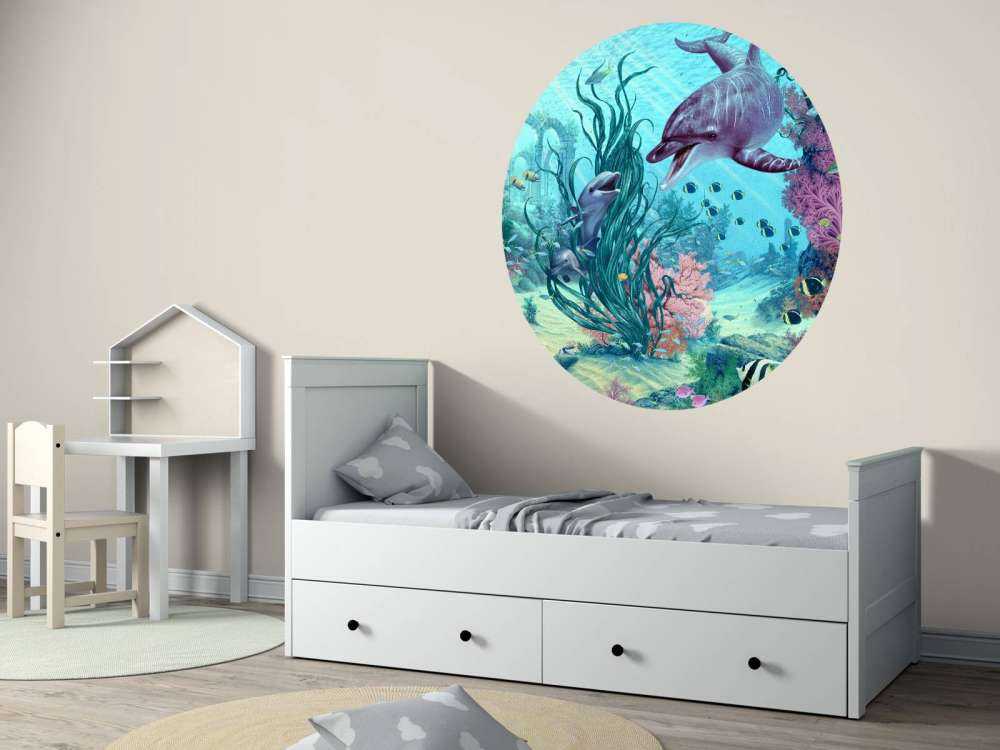 Hide And Seek Dolphins