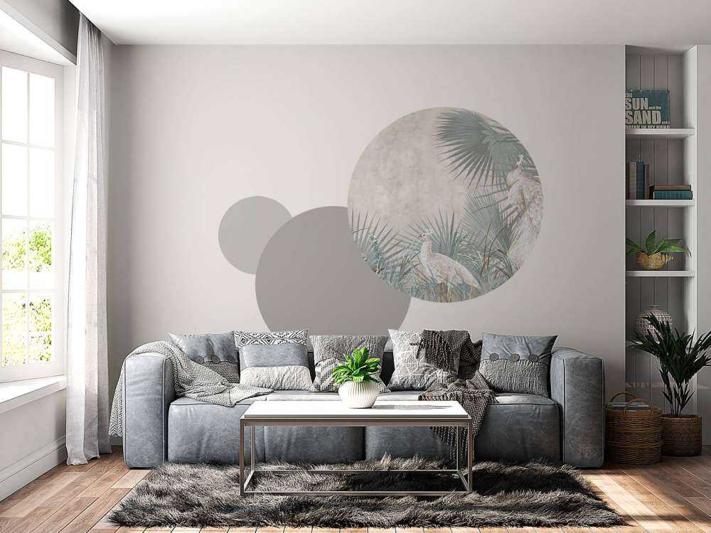 Quiet Elegance of the Peacock