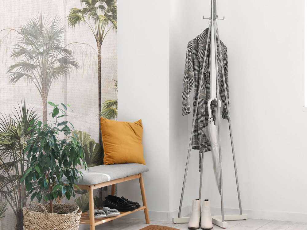 Silent Palm Serenity