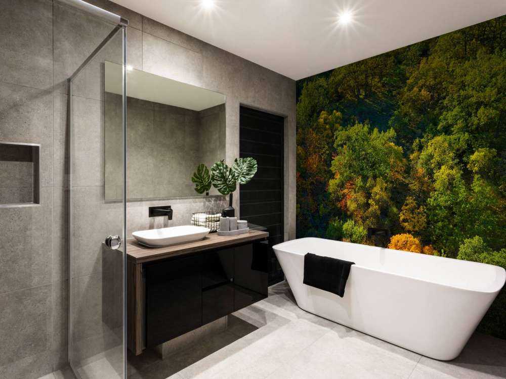 Bomen met herfstkleuren