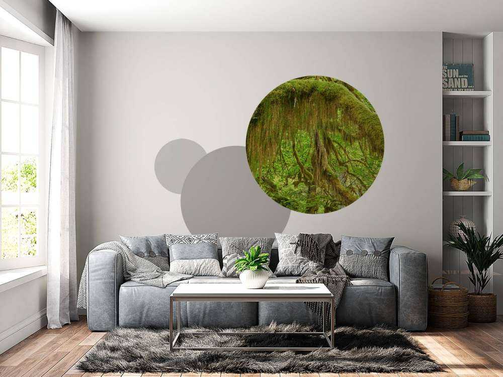 Gedetailleerde takken