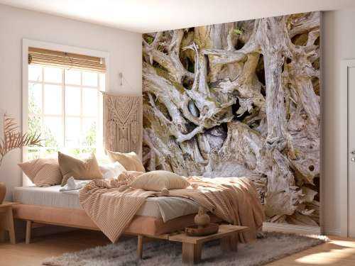 Tree roots 
