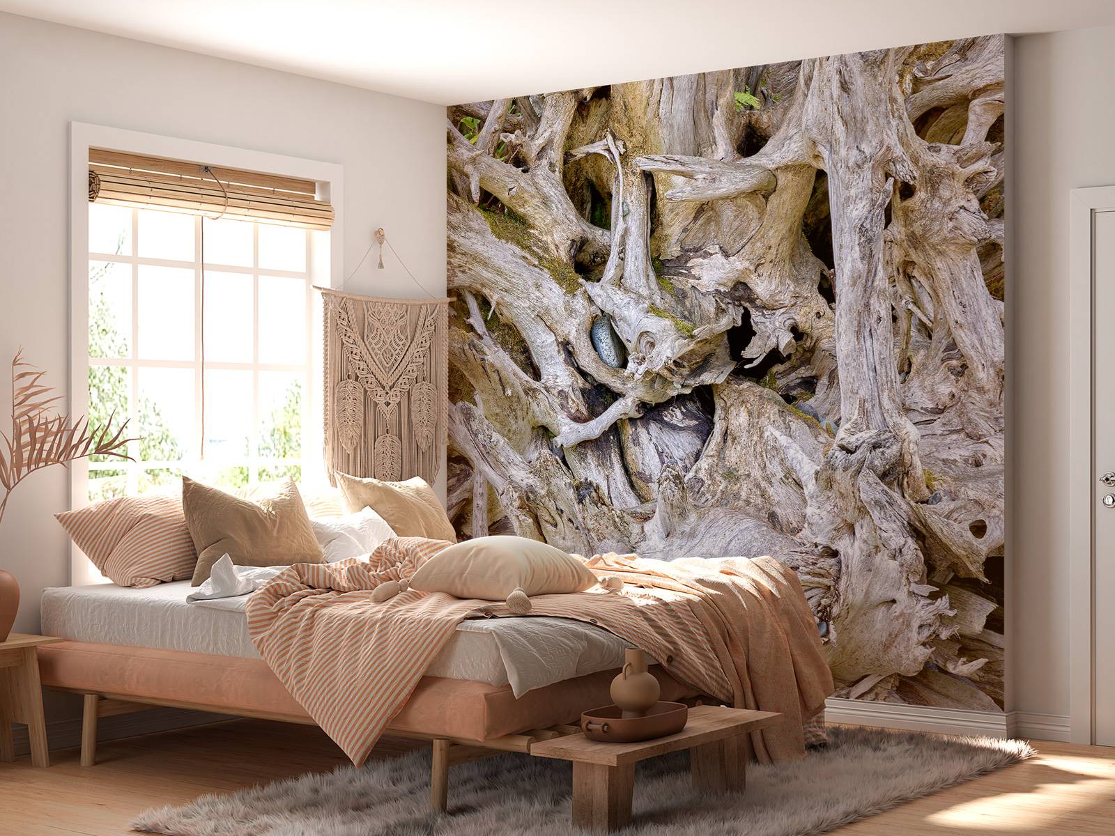 Tree roots 