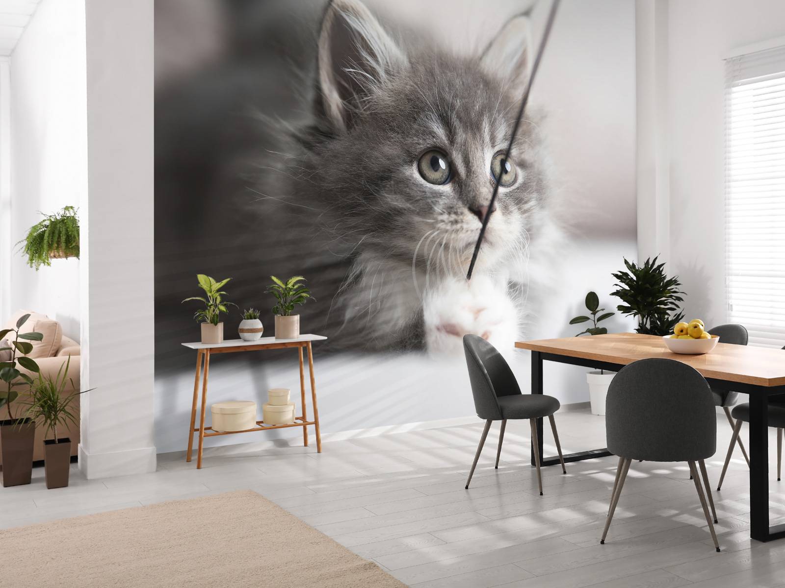 Playing cat