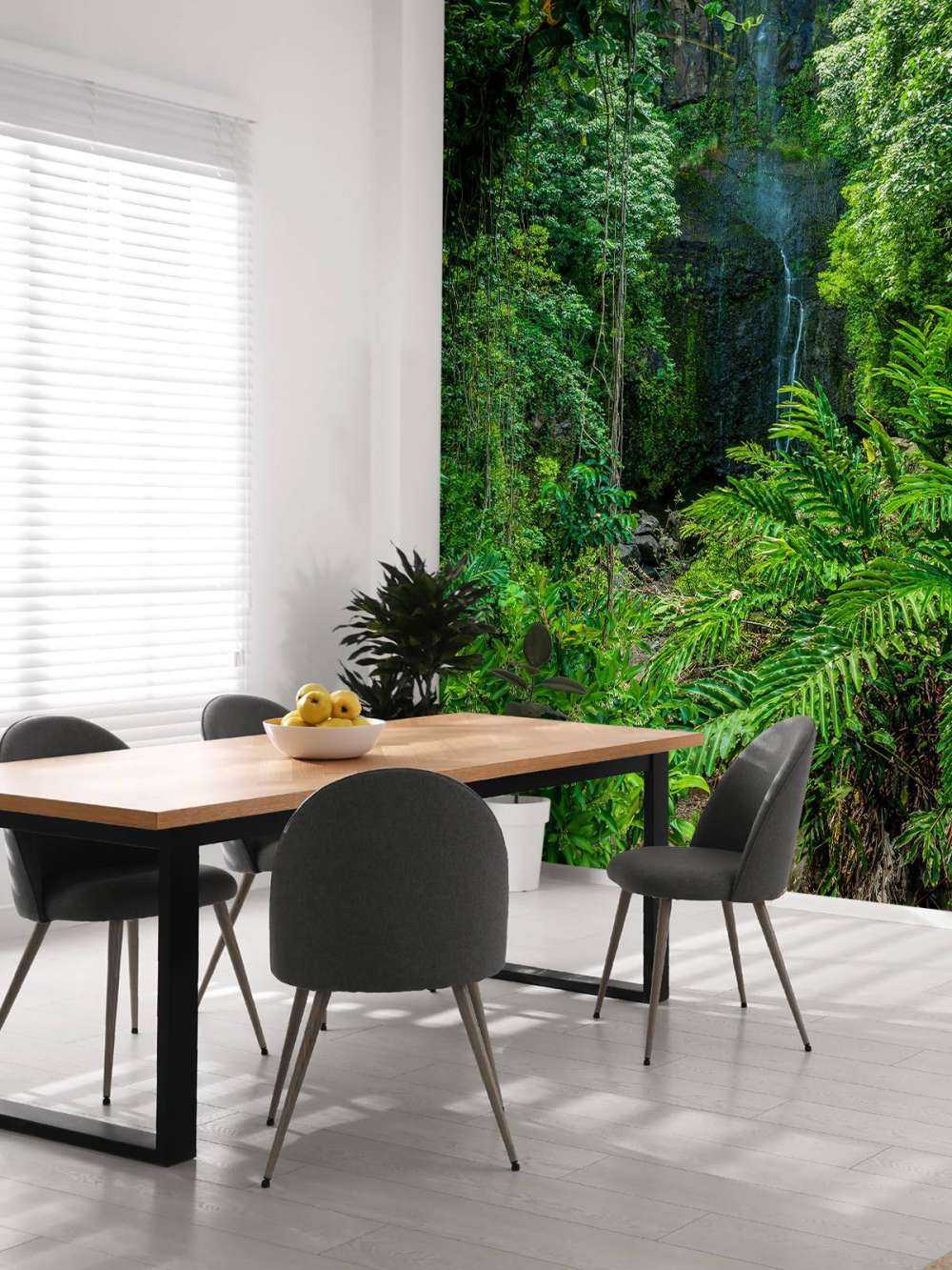 Jungle and stones