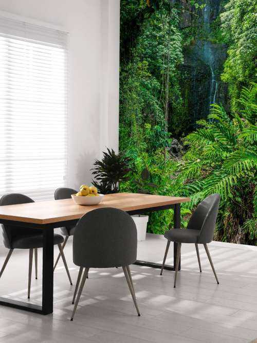 Jungle and stones