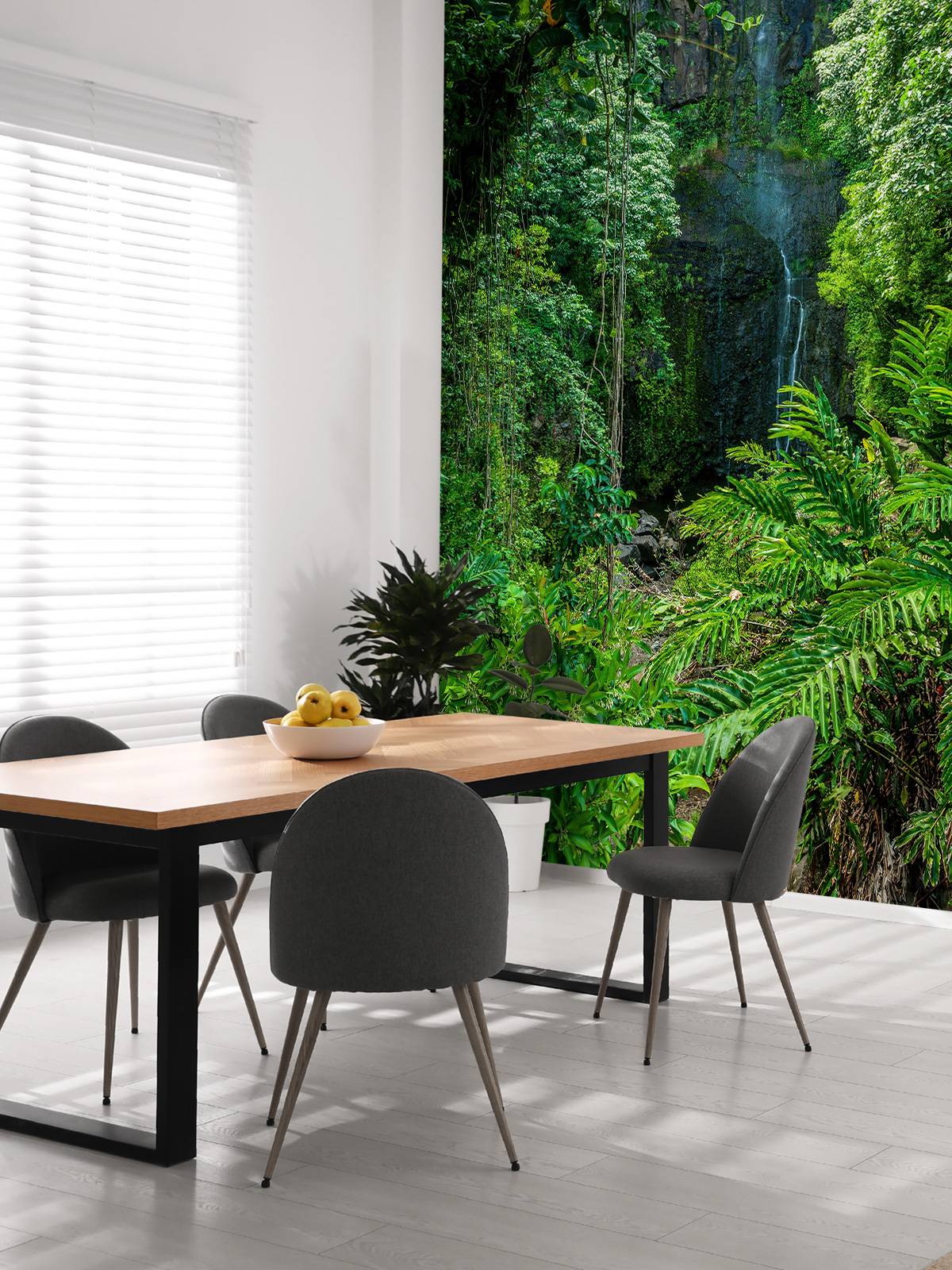 Jungle and stones
