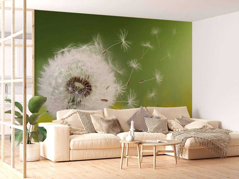 Dandelion