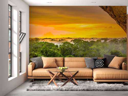 Rainforest in Brazil 