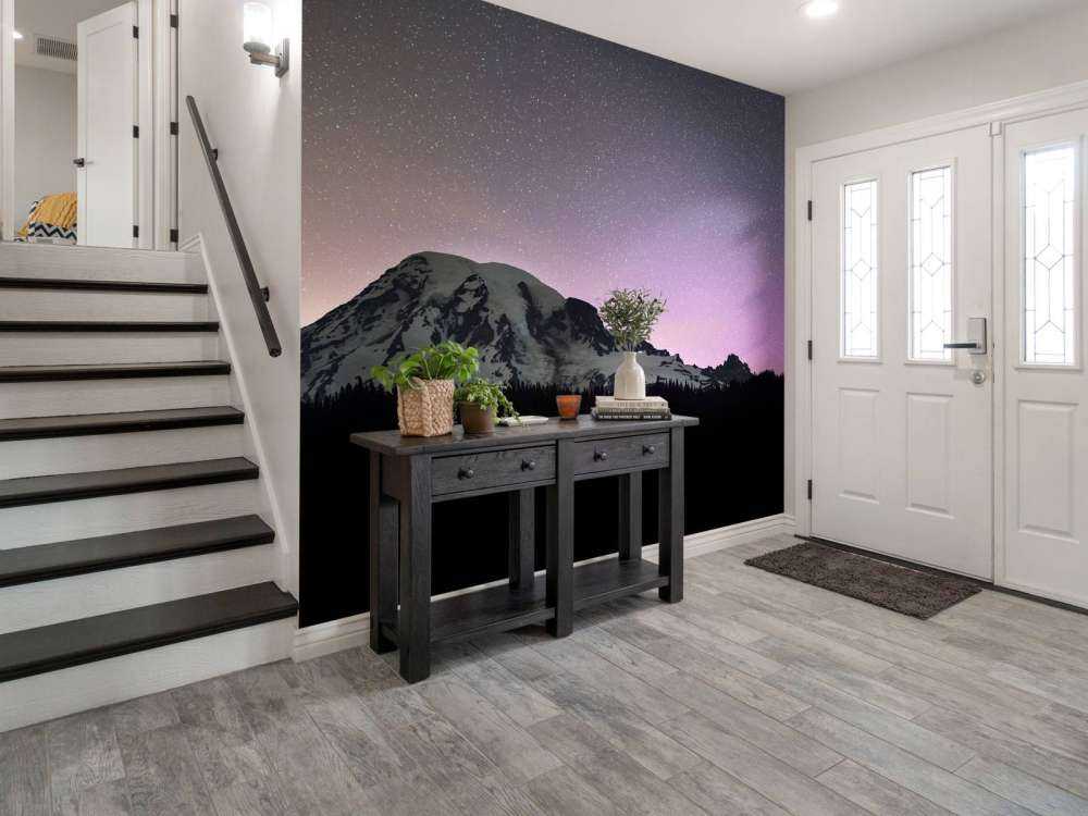 Mount Rainier with northern lights