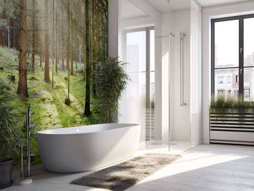 Coniferous forest with moss