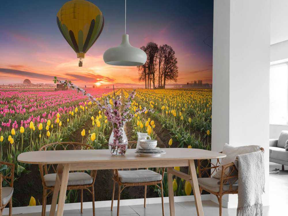 Pink yellow tulip field