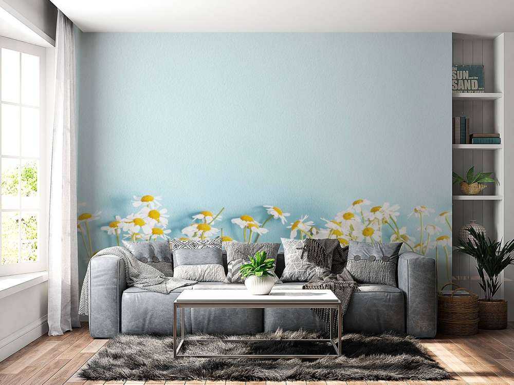 Kamille bloemen met een blauwe achtergrond