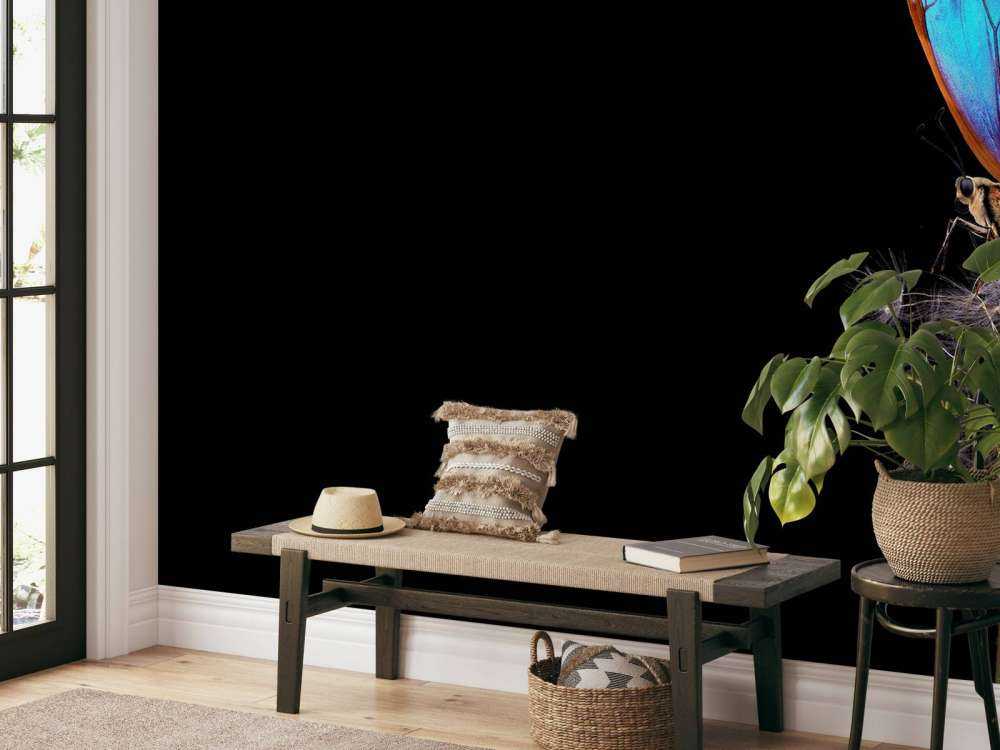 Blue butterfly on a dandelion