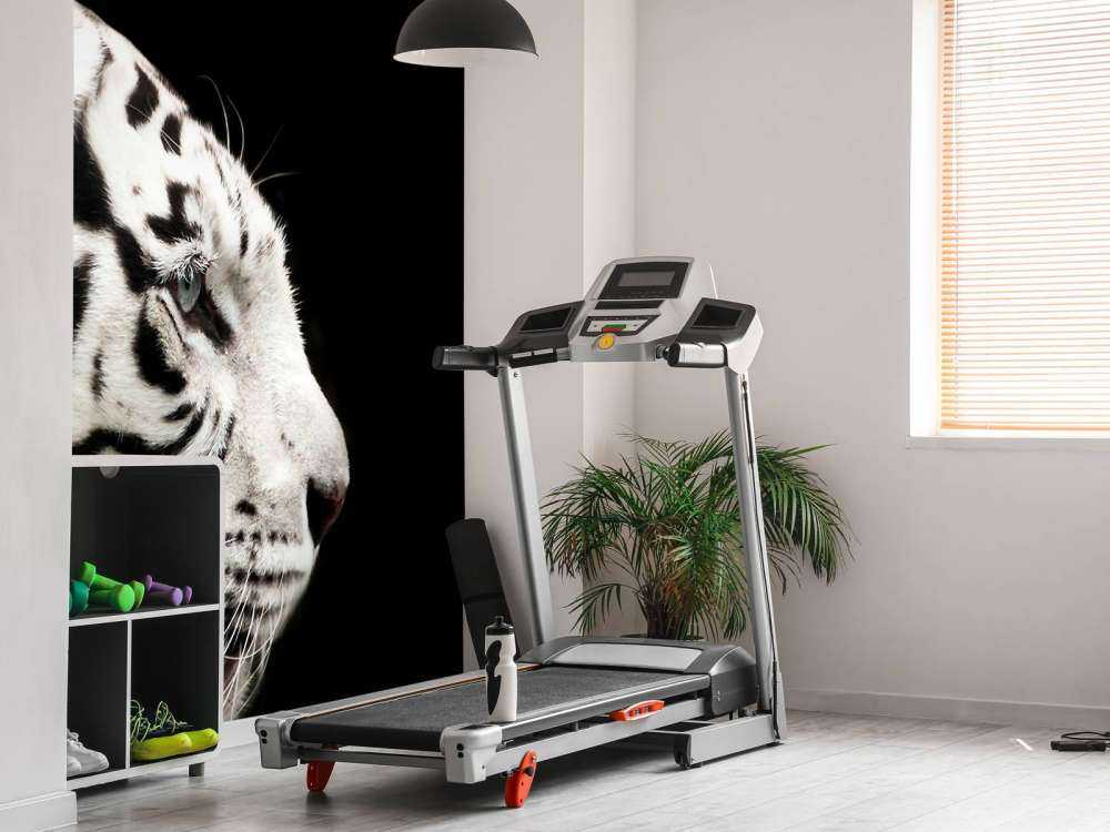 Witte tijger op zwarte achtergrond