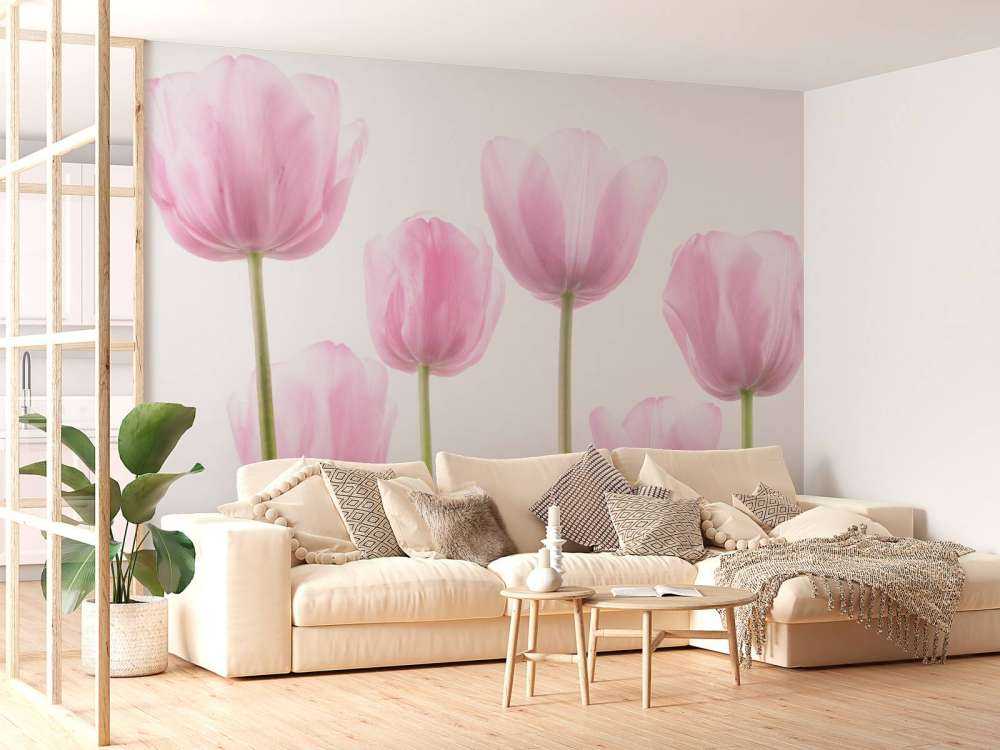 Pink Tulips