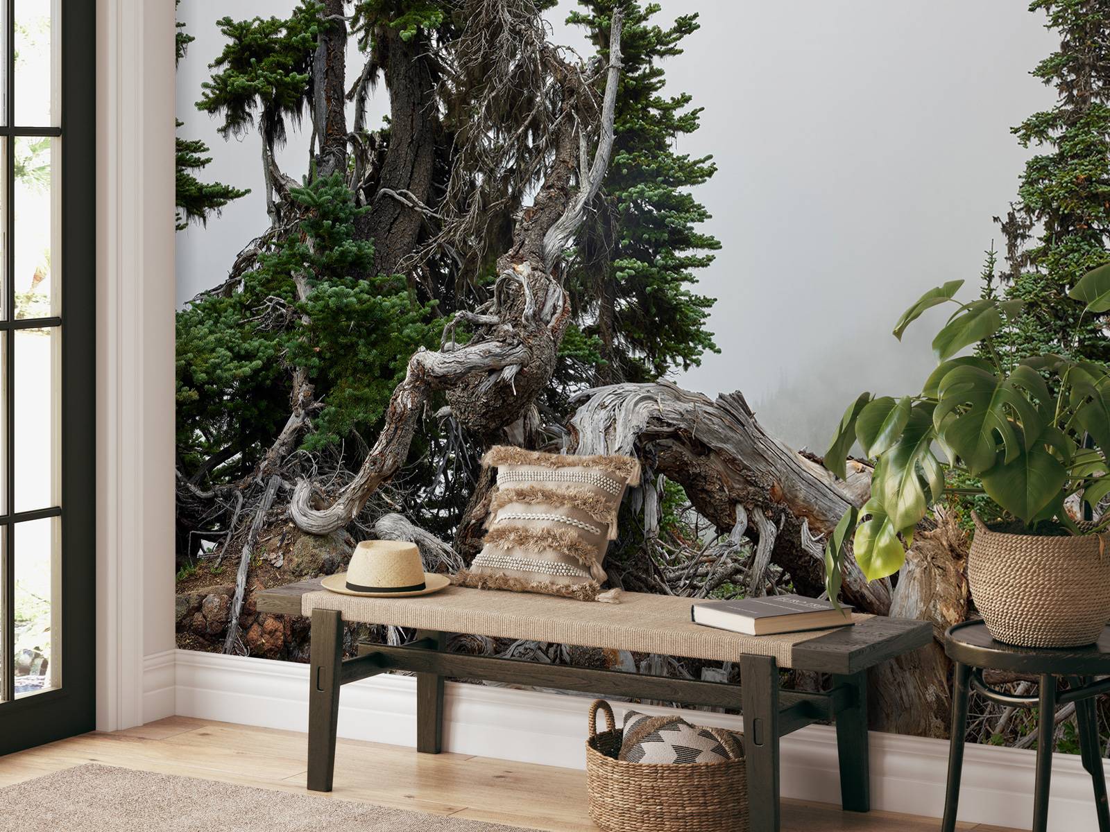 Trees and old trees 