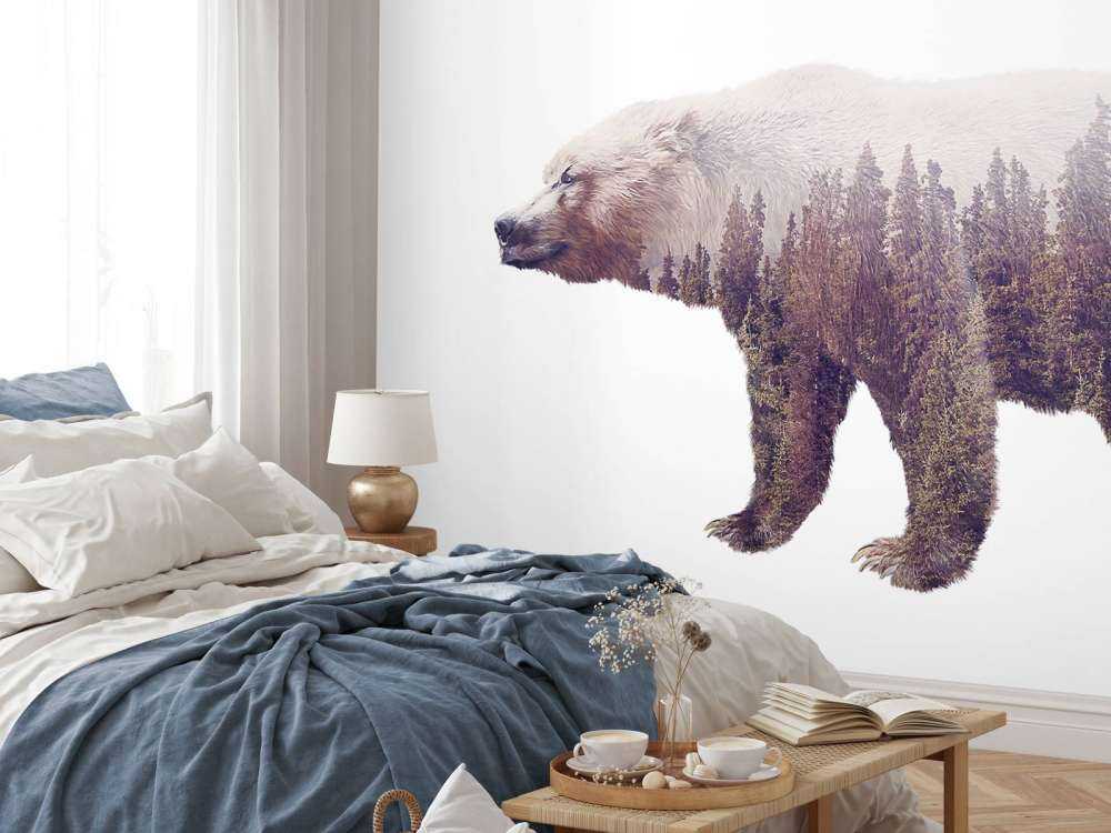 Beer op een wit achtergrond