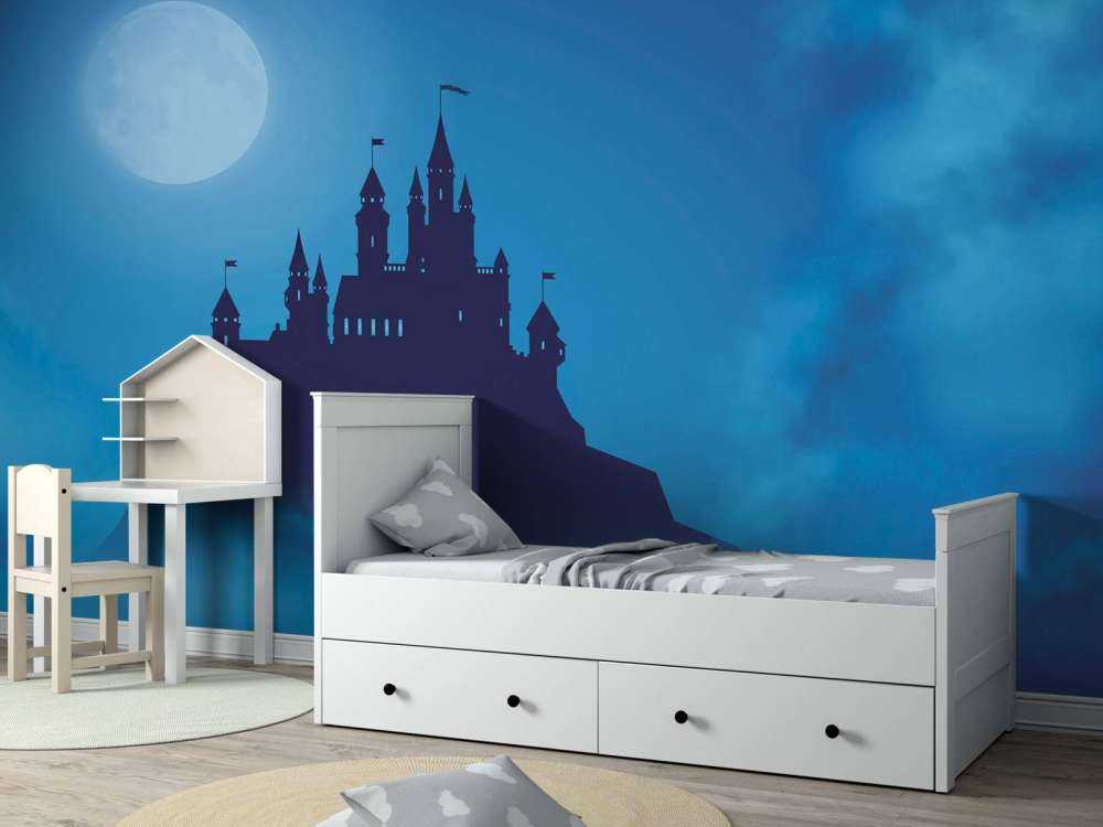 Castle with moonlight