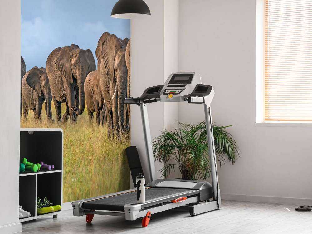 The Land Of The Giants