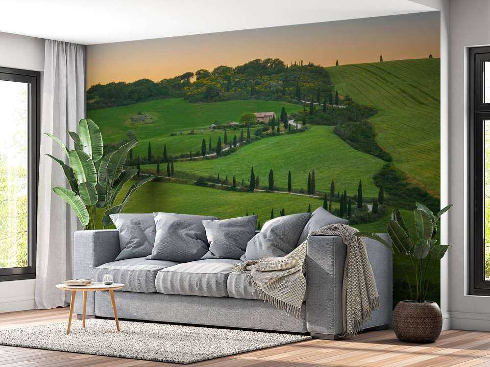 Winding road with cypresses