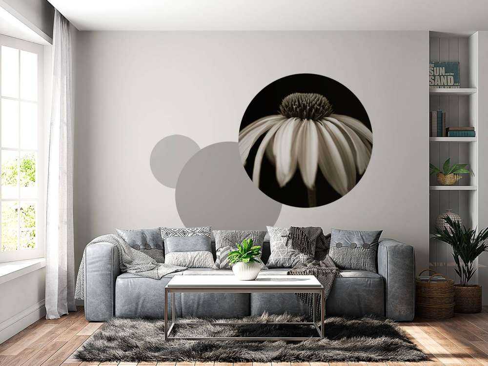 Cone flower close-up