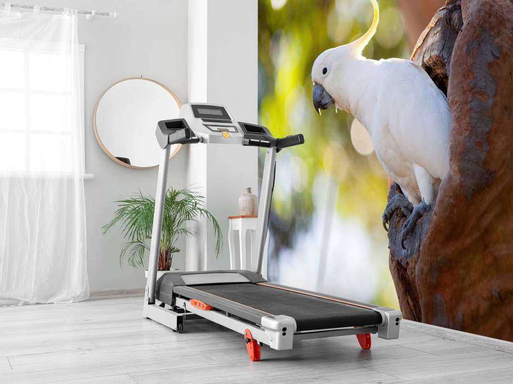 Cockatoo in tree cavity