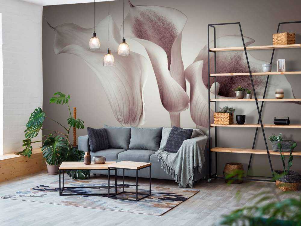 Calla Lys