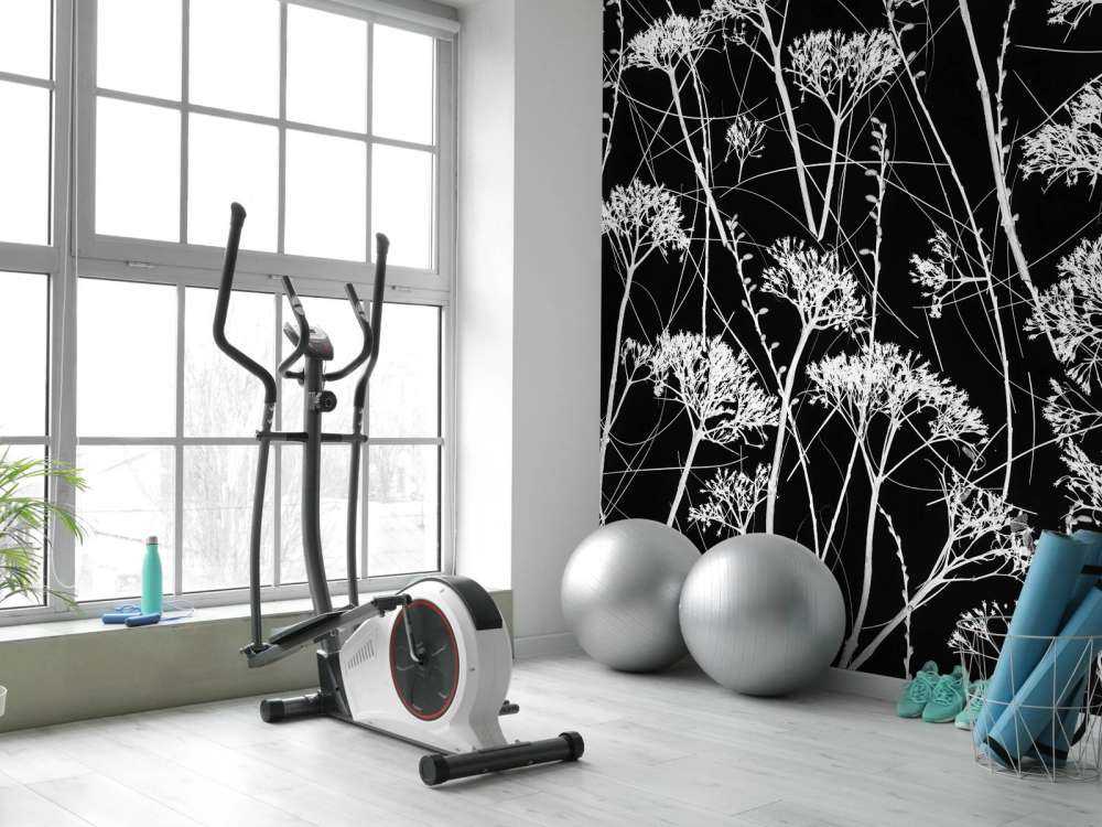 Silhouette of dried plants