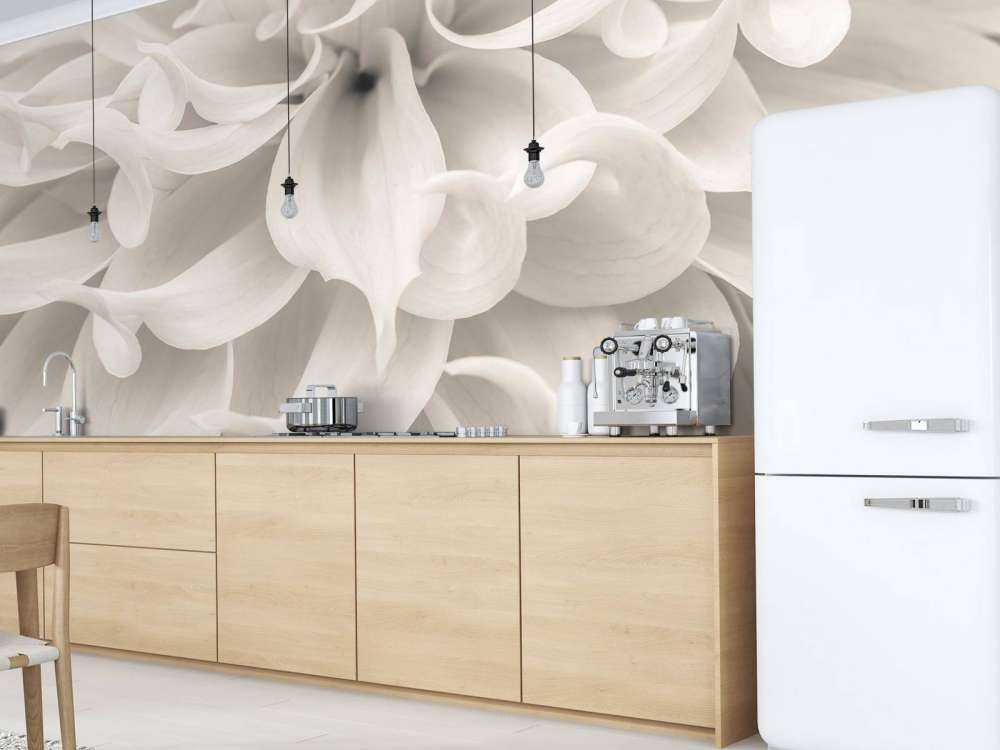 Close-up of Dahlia flower