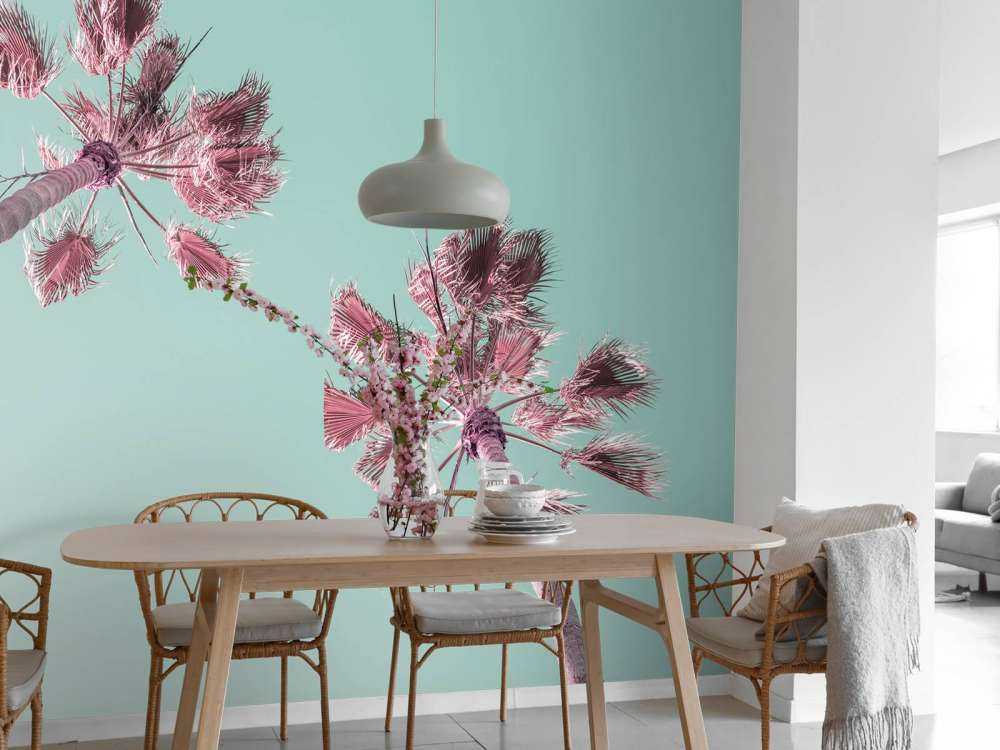 Palm trees during summer