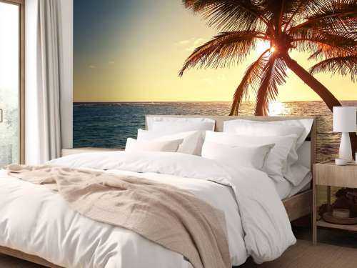 Tropical beach