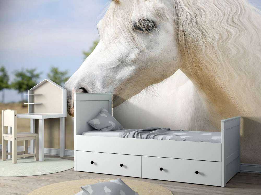 White unicorn
