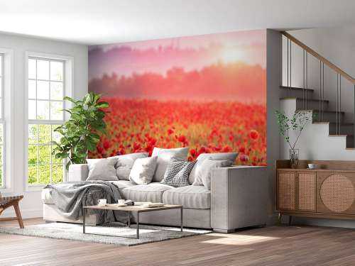 Field full of poppies