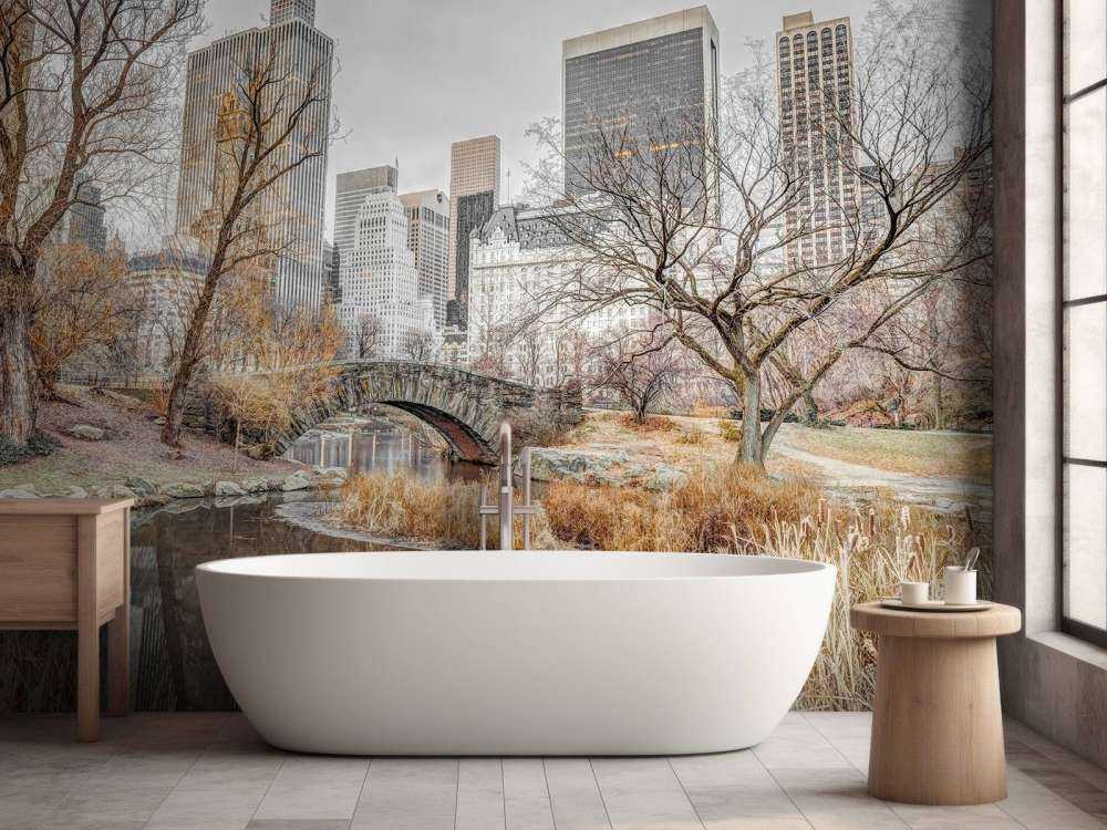 Central park in winter