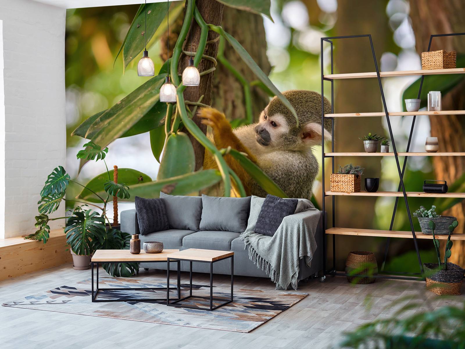 Small monkey in the trees