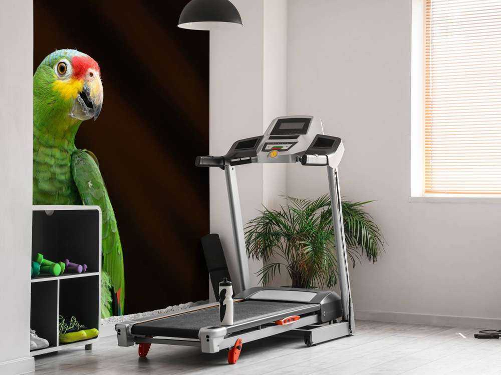 Curious parrot