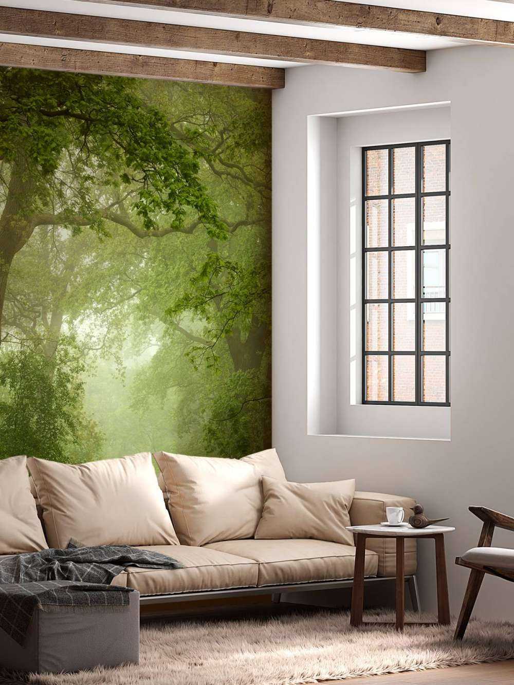 Forest path in the mist