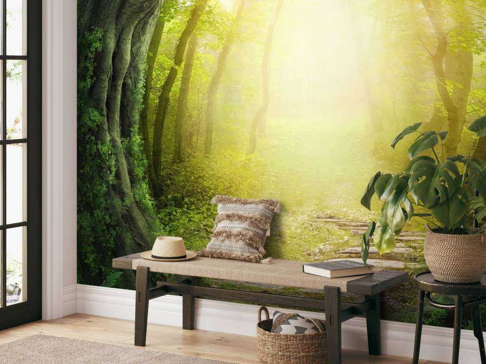 Stone path through forest