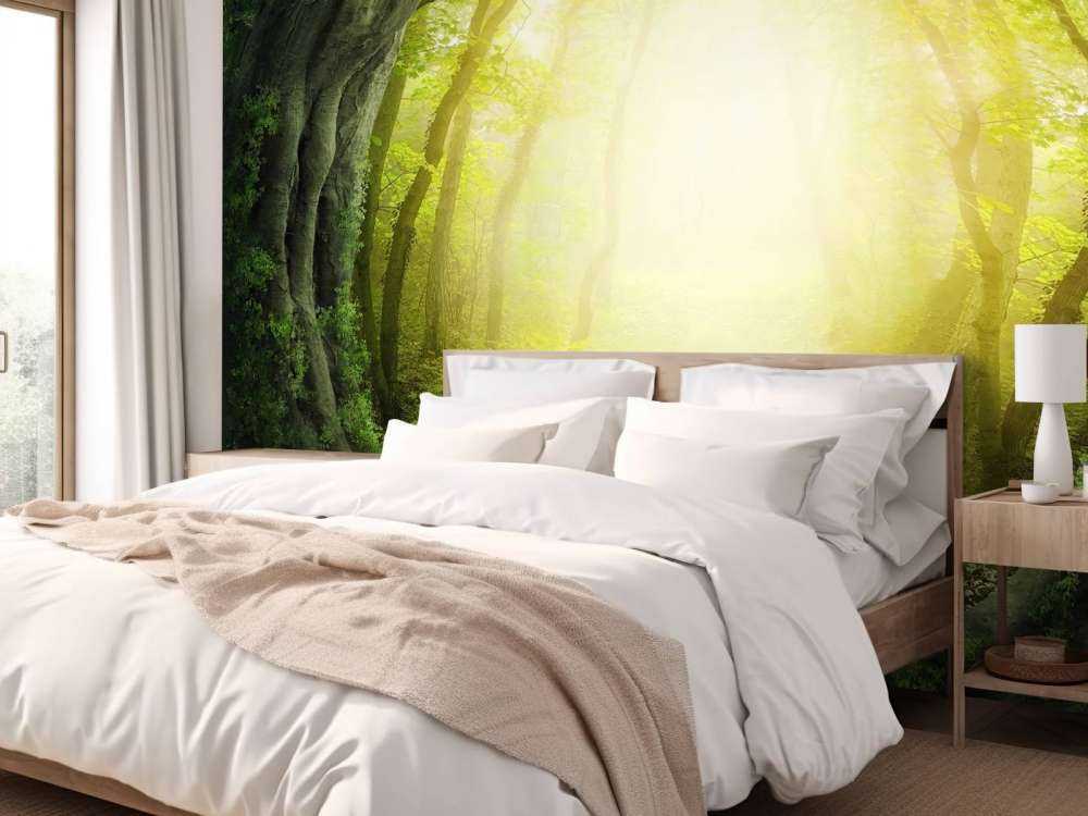 Stone path through forest