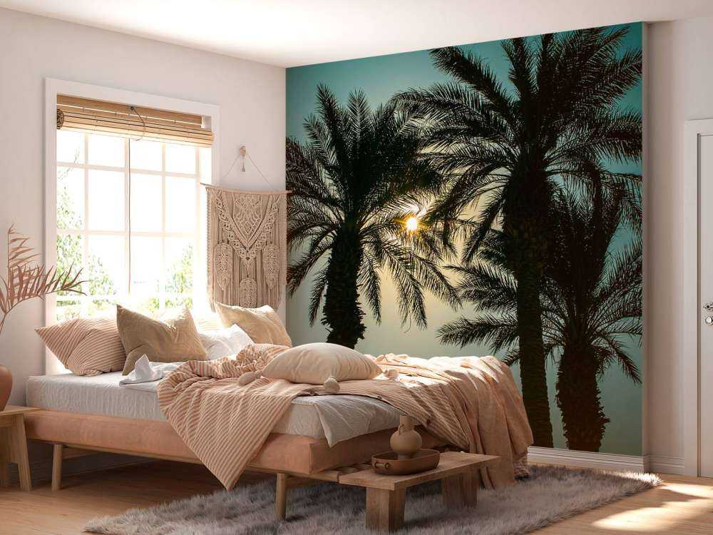 Silhouette of palm trees