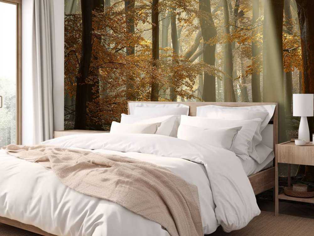 Autumn colours in the forest