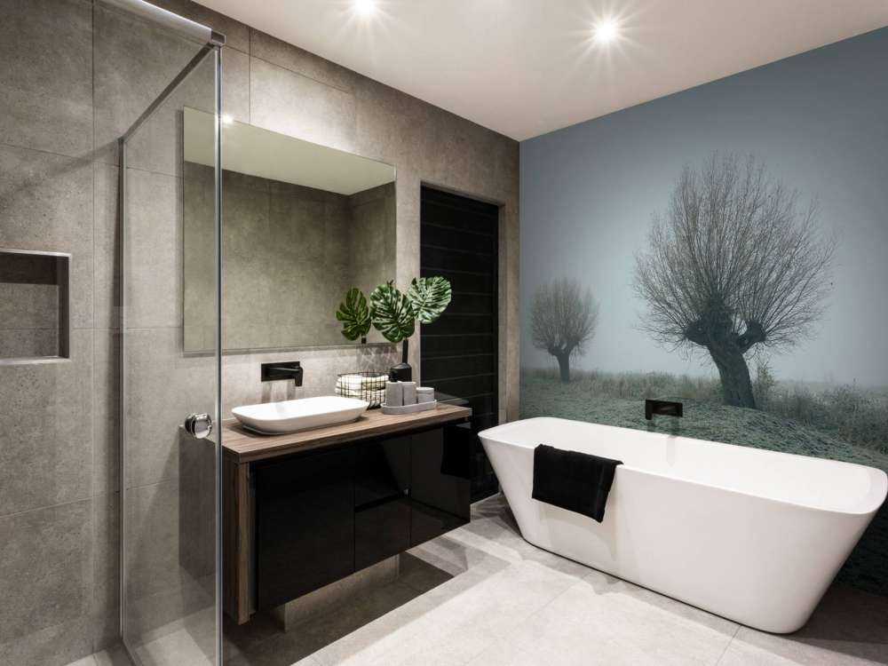 Pollard willows in the fog