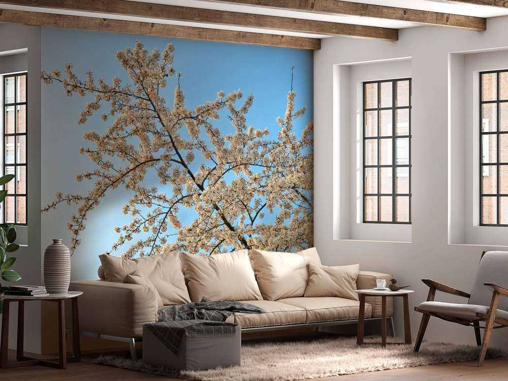 Blossom branch