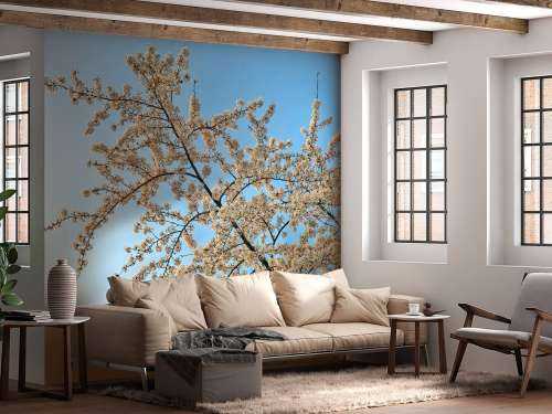 Blossom branch